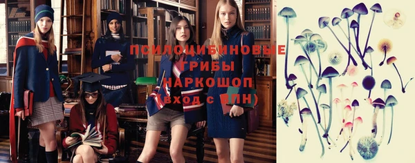 прущие крисы Дедовск