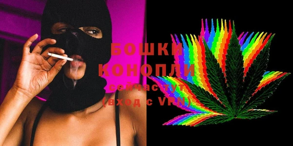 сатива Волосово